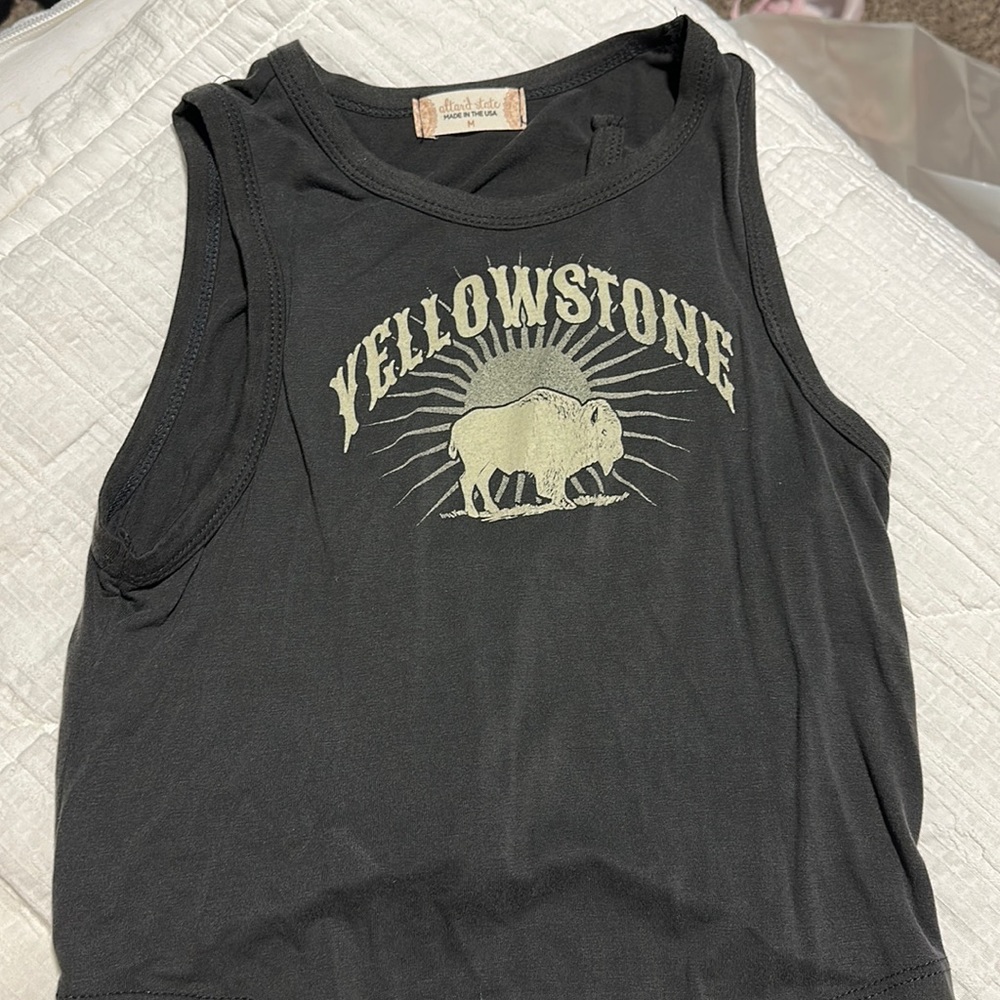 Grey altard state crop top